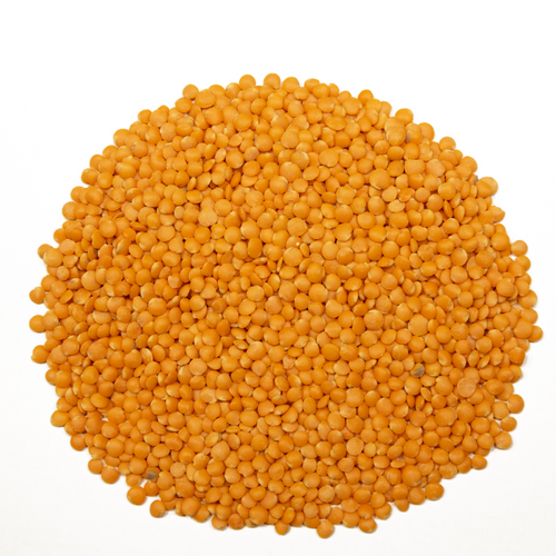 SPLIT RED LENTILS