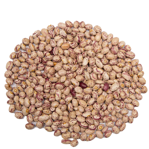 PINTO BEANS