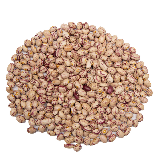 PINTO BEANS