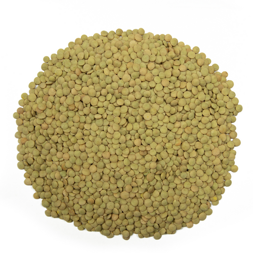 GREEN LENTILS