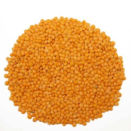 SPLIT RED LENTILS