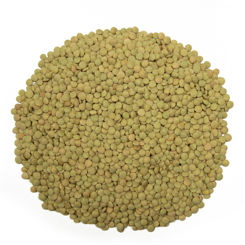 GREEN LENTILS