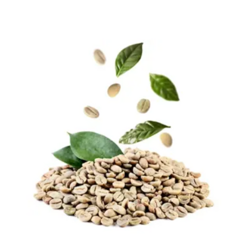 Green Coffee Bean