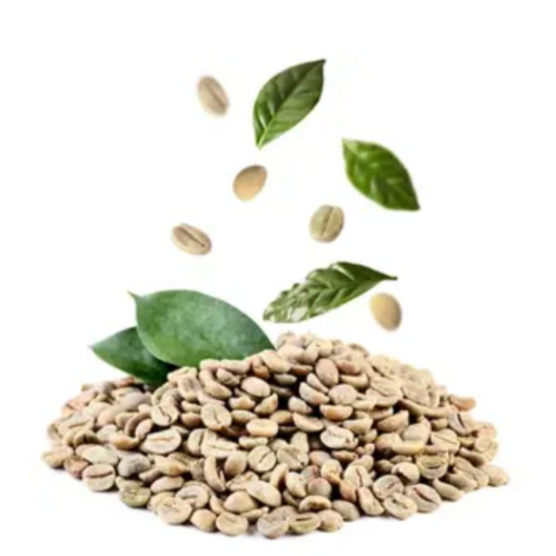 Green Coffee Bean
