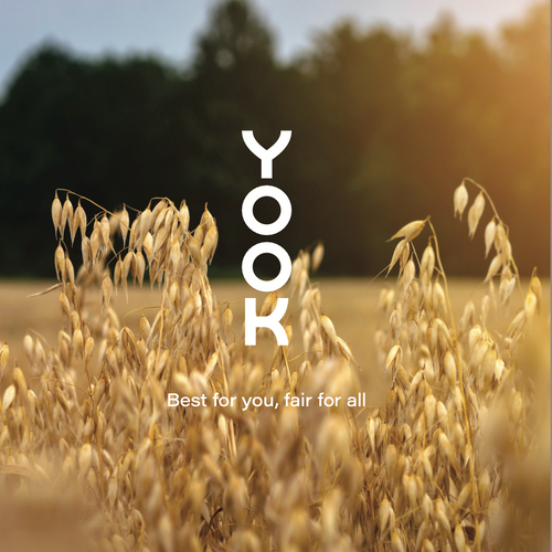 YOOK_Brochure