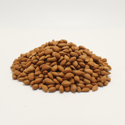 Apricot kernels