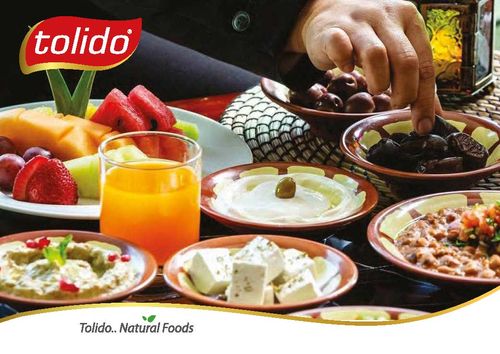 Tolido Company Catalouge