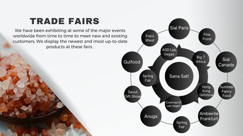 Participation in International Trade Fairs