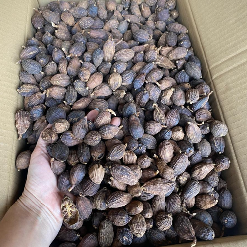 VIETNAM BLACK CARDAMOM