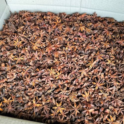 Star Anise (Autumn, Spring)