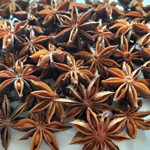 Star Anise (Autumn, Spring)