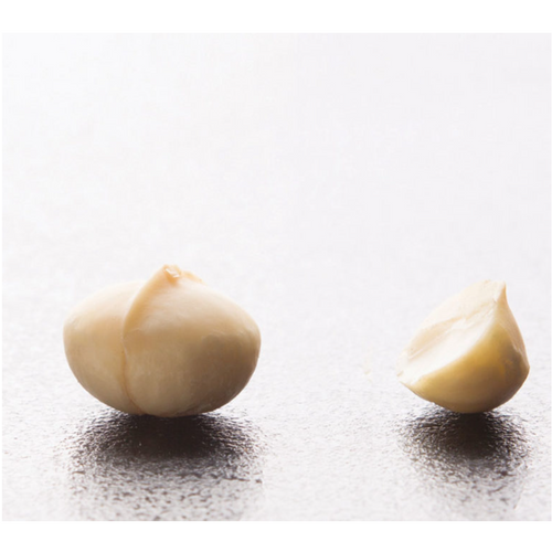 Macadamia nuts