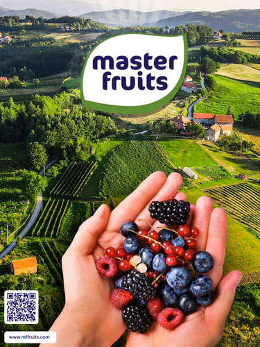 Master Fruits brochure