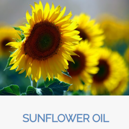 Sunflower Oil