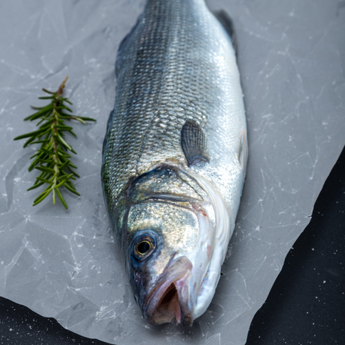 Sea Bass