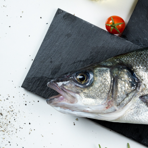Sea Bass