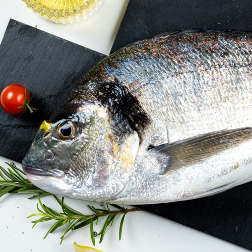 Sea Bream