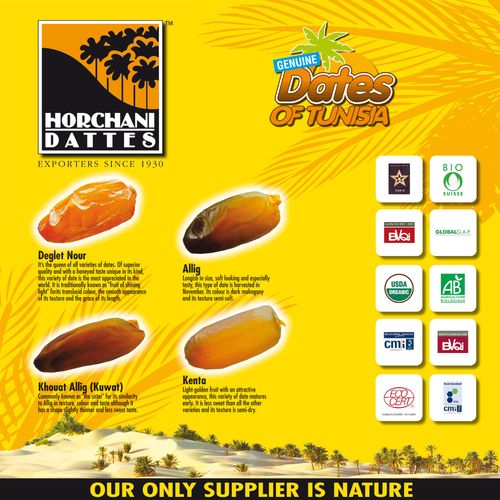 CATALOG