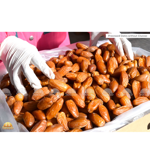 5KG Processed Dates Deglet Nour