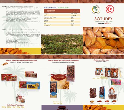 SOTUDEX BROCHURE