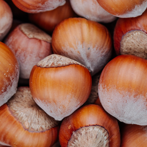 IN-SHELL HAZELNUTS