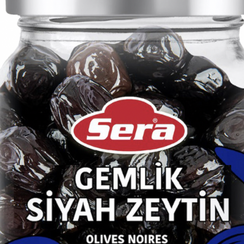 Black olive gemlik type