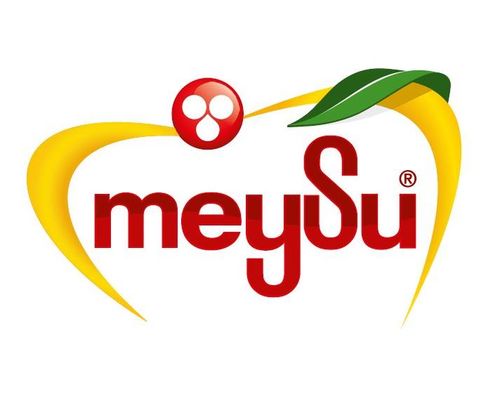 MEYSU FOOD INC