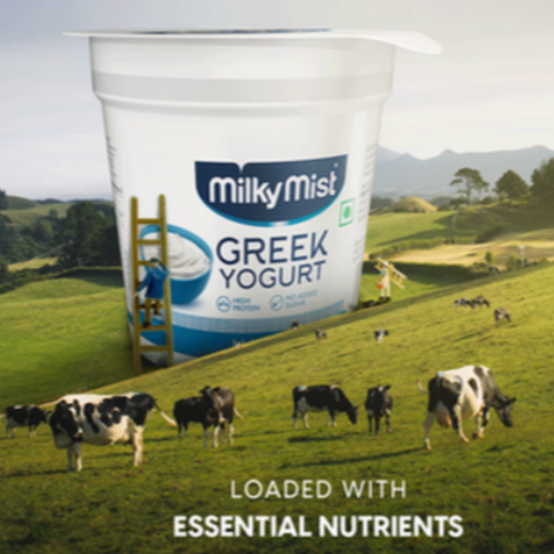 Milky Mist Yogurt
