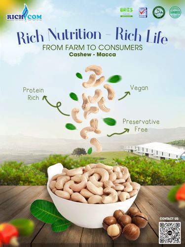 Vietnamese Cashew Factory - Richcom