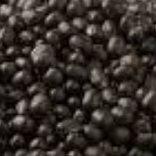 WHOLE URAD BEANS