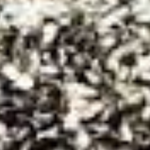 URAD SPLIT