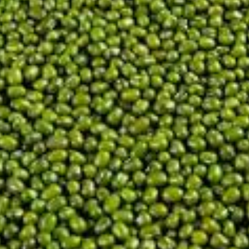 WHOLE MOONG BEANS