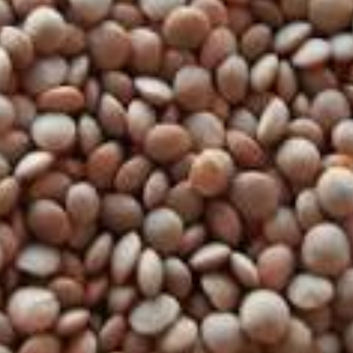MASOOR DAL
