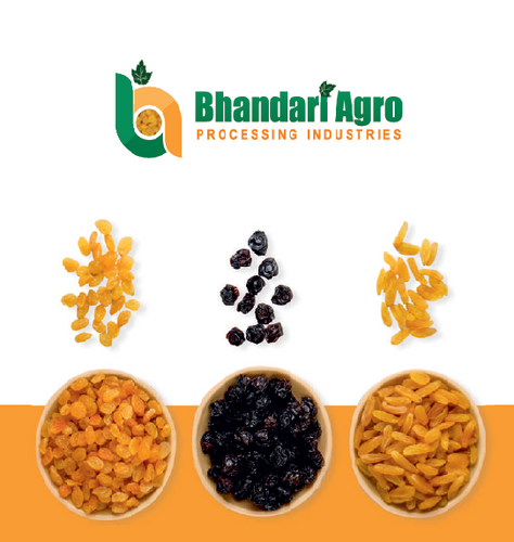 BHANDARI AGRO - INDIAN RAISINS