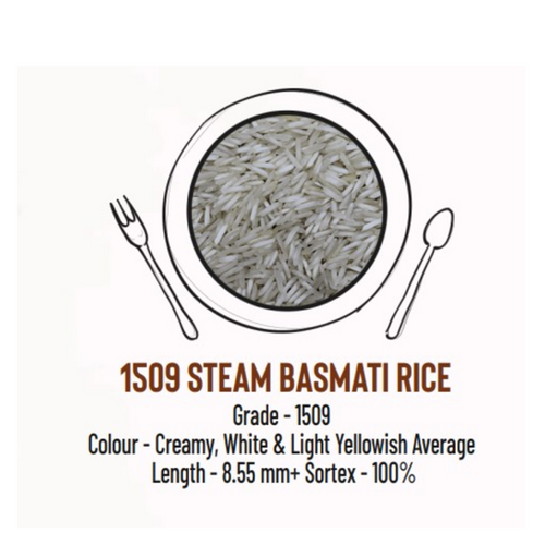 1509 STEAM BASMATI RICE