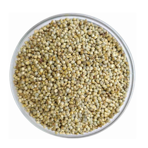 Millet Seed - bajra