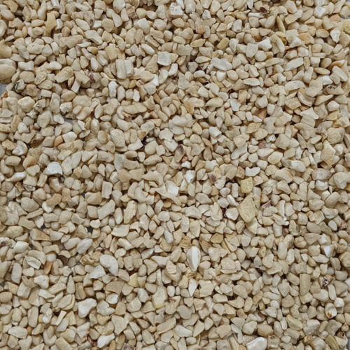 CASHEW SSP