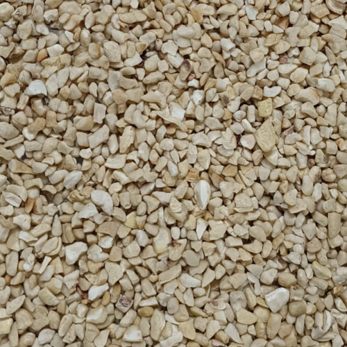 CASHEW SSP