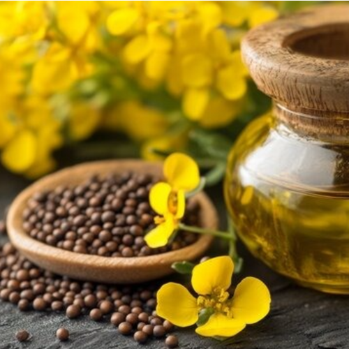 Mustard Oil