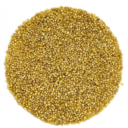Foxtail Millet