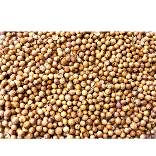 Corriander Seeds