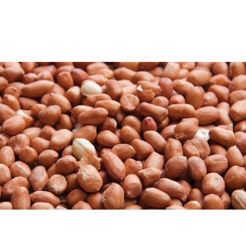 Peanuts