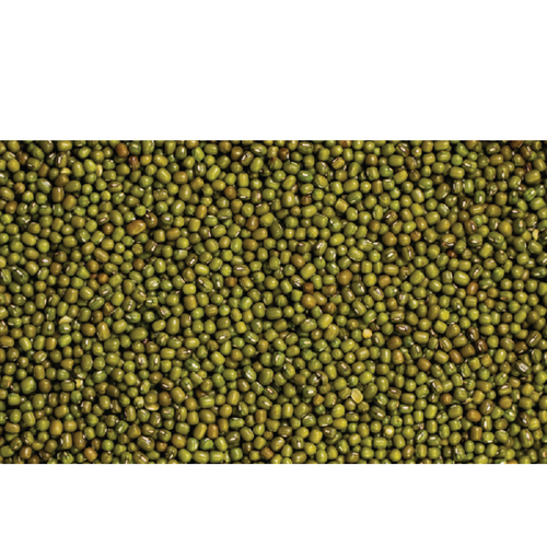 Moong