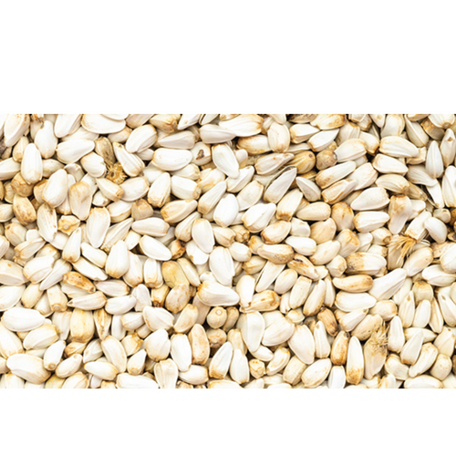 Safflower Seeds