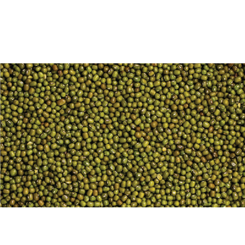 Moong