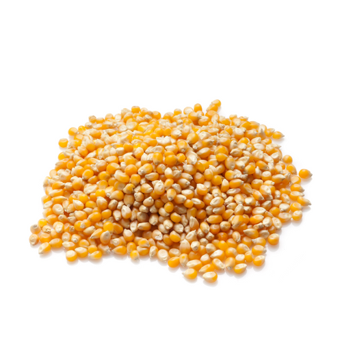 Corn