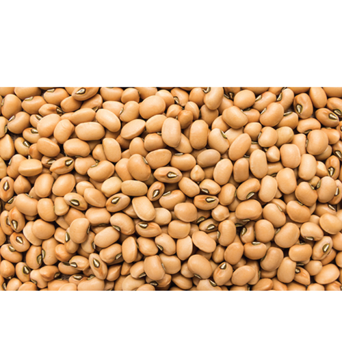Cowpeas