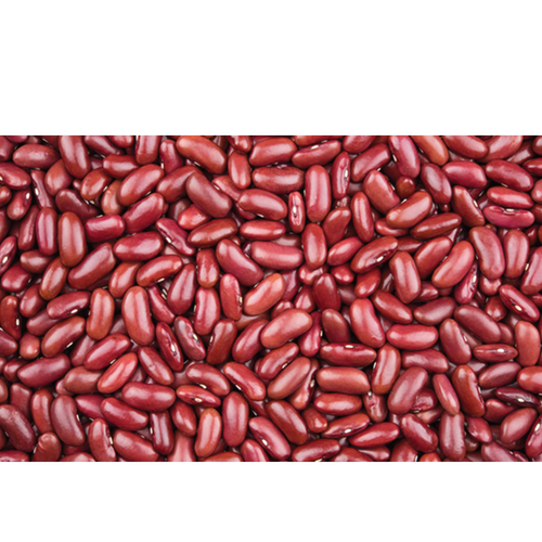 Kidney Beans (Rajma)