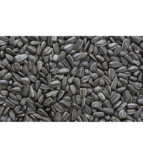 Sunflower Seeds