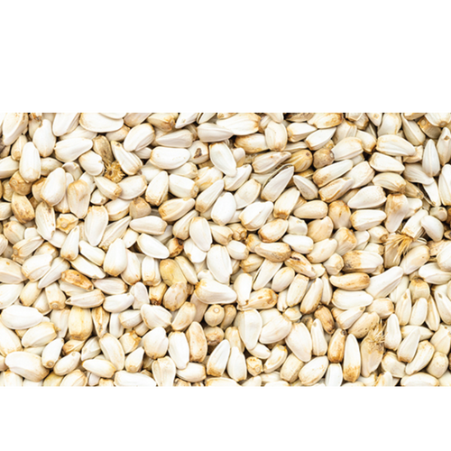 Safflower Seeds